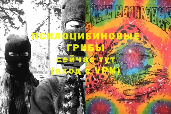 не бодяженный Арсеньев