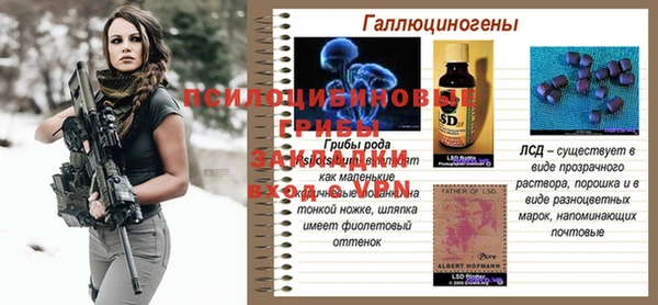 не бодяженный Арсеньев