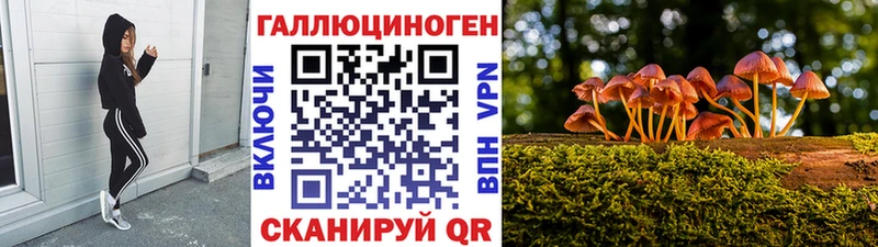 Псилоцибиновые грибы GOLDEN TEACHER Сычёвка