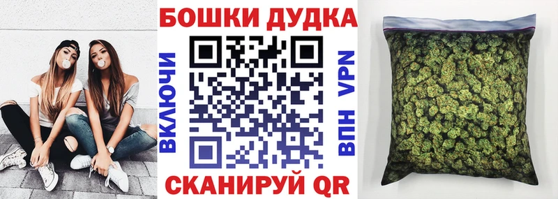 Купить закладки  Сычёвка  Шишки марихуана сатива 